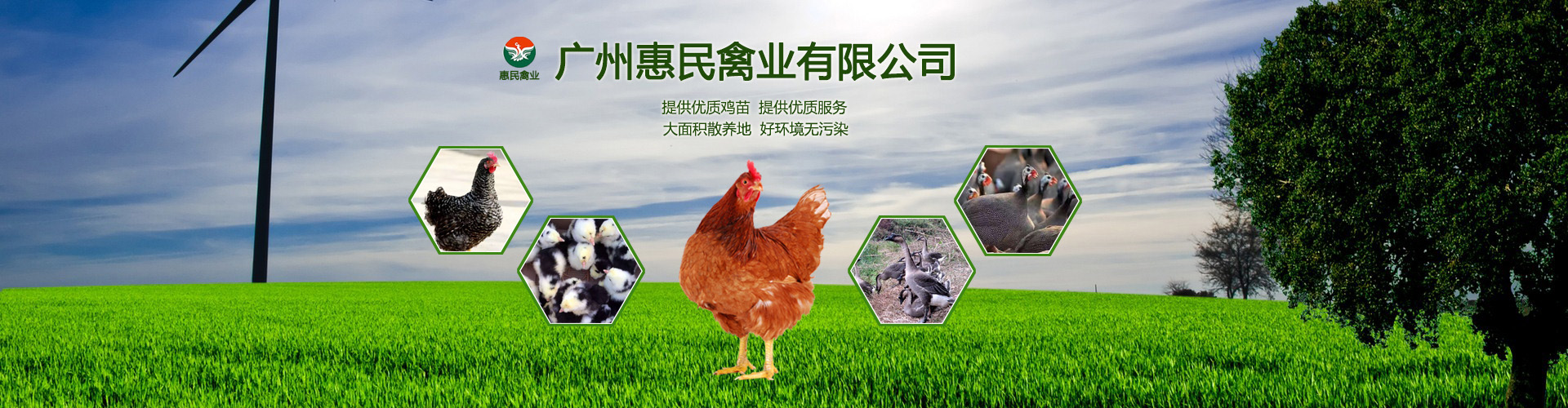 广州惠民禽业有限公司